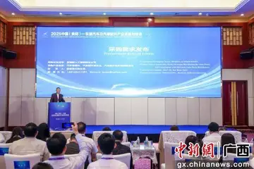 中國（貴陽）—東盟汽車及汽摩配件產業貿易對接會在南寧舉行